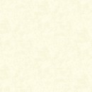Shadows Col. 102 Cream